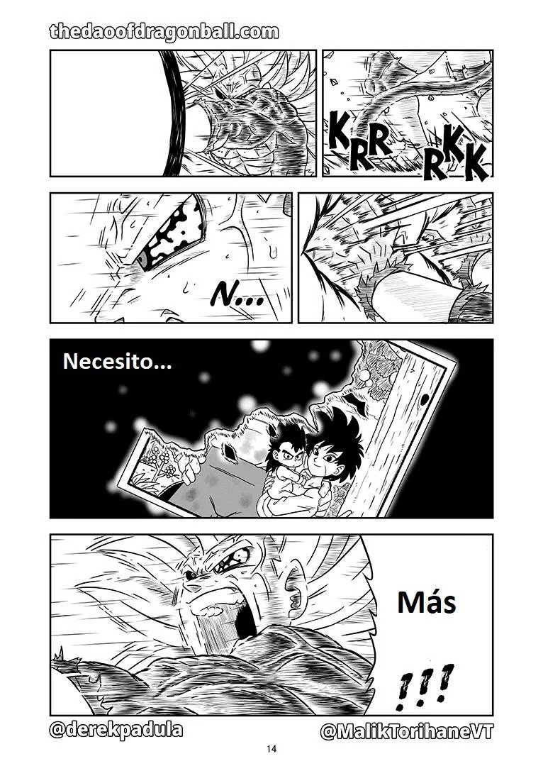 Página 13